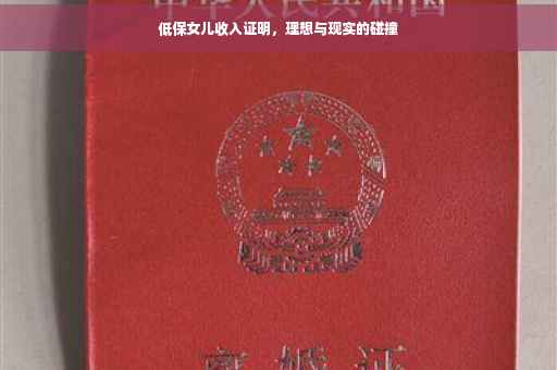 低保女儿收入证明，理想与现实的碰撞