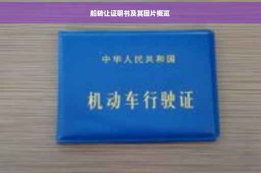 船转让证明书及其图片概览