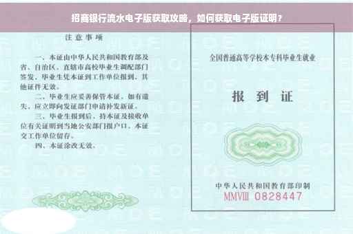 招商银行流水电子版获取攻略，如何获取电子版证明？