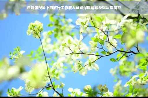 自媒体视角下的旅行工作收入证明深度解读及撰写指南??