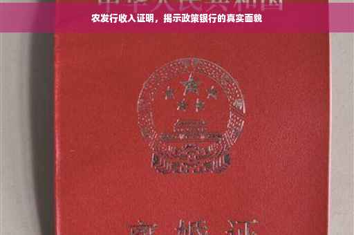 农发行收入证明，揭示政策银行的真实面貌