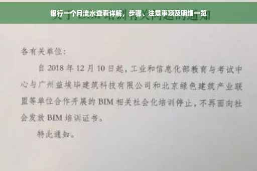 银行一个月流水查看详解，步骤、注意事项及明细一览