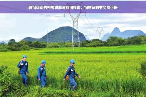 鞍钢证明书格式详解与应用指南，钢材证明书实战手册