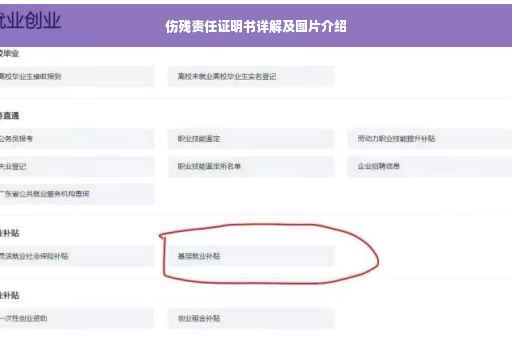 伤残责任证明书详解及图片介绍