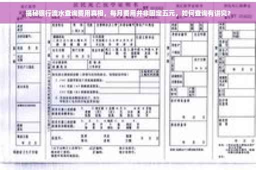 揭秘银行流水查询费用真相，每月费用并非固定五元，如何查询有讲究？