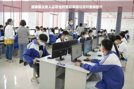 揭秘国企收入证明低的背后真相与应对策略探讨