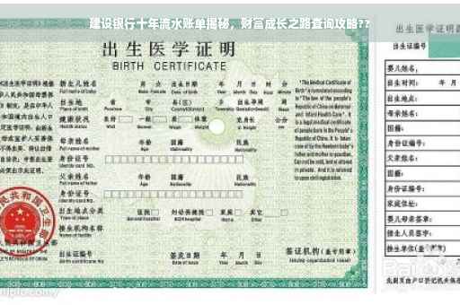 建设银行十年流水账单揭秘，财富成长之路查询攻略??