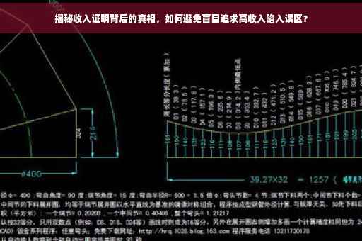 揭秘收入证明背后的真相，如何避免盲目追求高收入陷入误区？