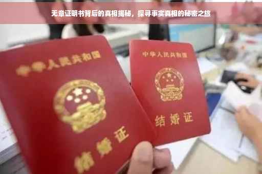 无章证明书背后的真相揭秘，探寻事实真相的秘密之旅