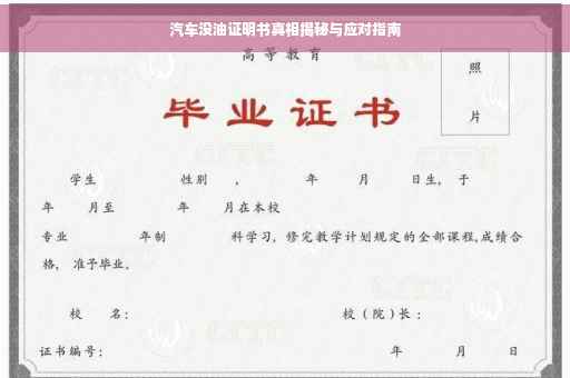 汽车没油证明书真相揭秘与应对指南