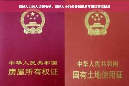 揭秘人力收入证明电话，职场人士的必备知识与实用指南揭秘篇