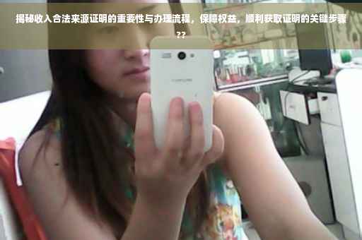 揭秘收入合法来源证明的重要性与办理流程，保障权益，顺利获取证明的关键步骤??