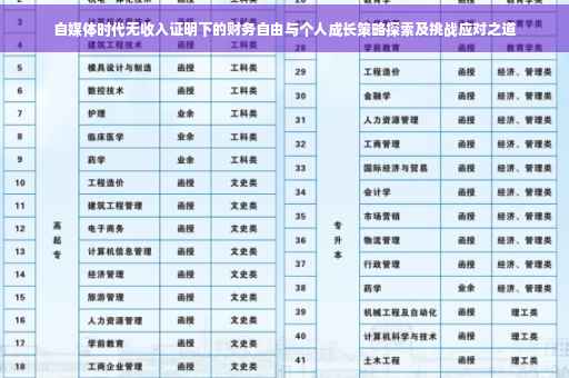 自媒体时代无收入证明下的财务自由与个人成长策略探索及挑战应对之道