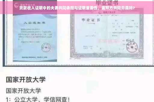 贷款收入证明中的夫妻共同承担与证明重要性，需双方共同开具吗？
