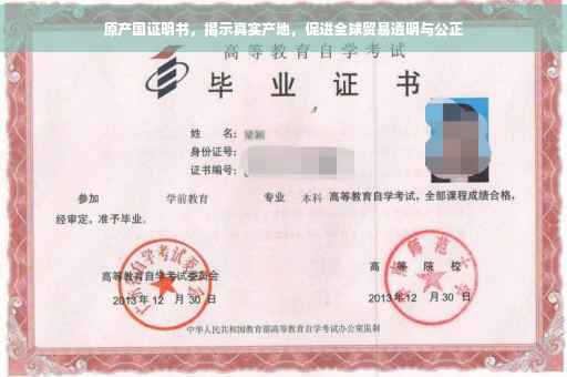 原产国证明书，揭示真实产地，促进全球贸易透明与公正