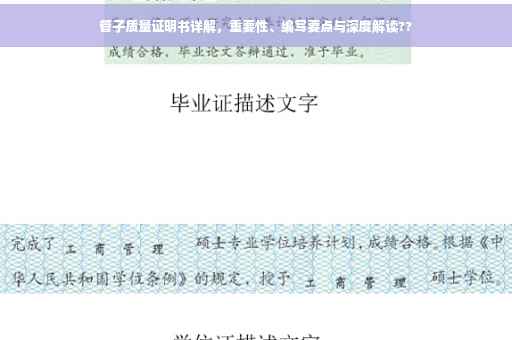 管子质量证明书详解，重要性、编写要点与深度解读??