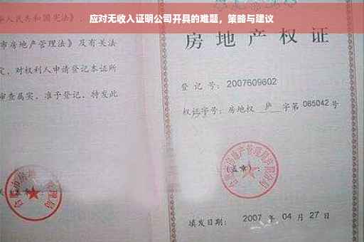 应对无收入证明公司开具的难题，策略与建议