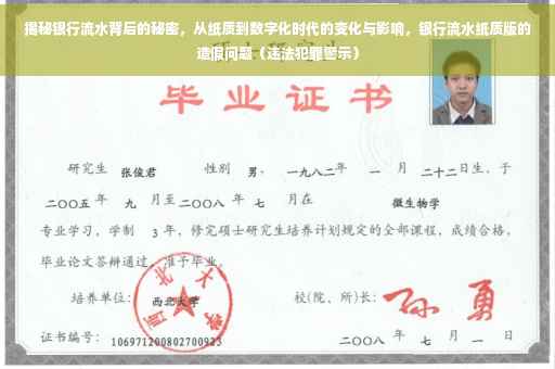 揭秘银行流水背后的秘密，从纸质到数字化时代的变化与影响，银行流水纸质版的造假问题（违法犯罪警示）