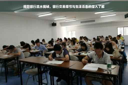 揭阳银行流水揭秘，银行交易细节与生活百态的深入了解
