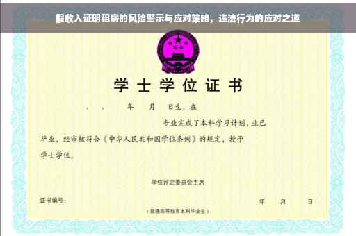 假收入证明租房的风险警示与应对策略，违法行为的应对之道