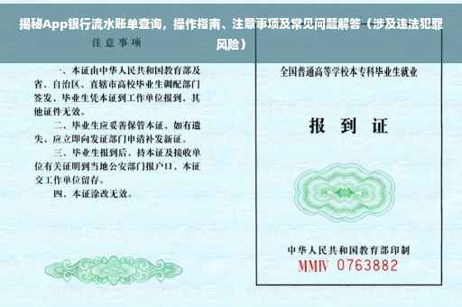 揭秘App银行流水账单查询，操作指南、注意事项及常见问题解答（涉及违法犯罪风险）