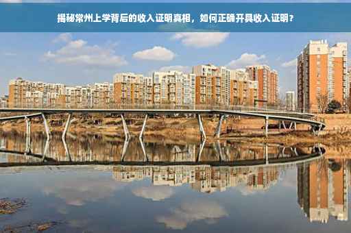 揭秘常州上学背后的收入证明真相，如何正确开具收入证明？