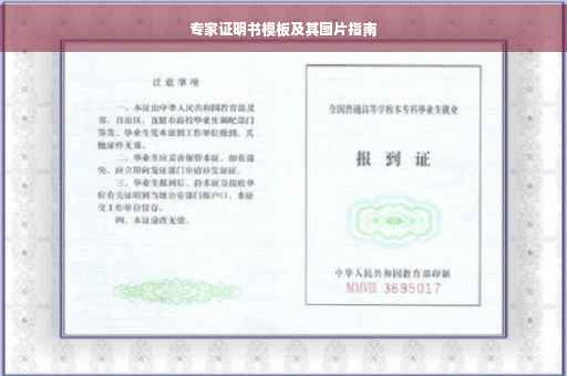 专家证明书模板及其图片指南