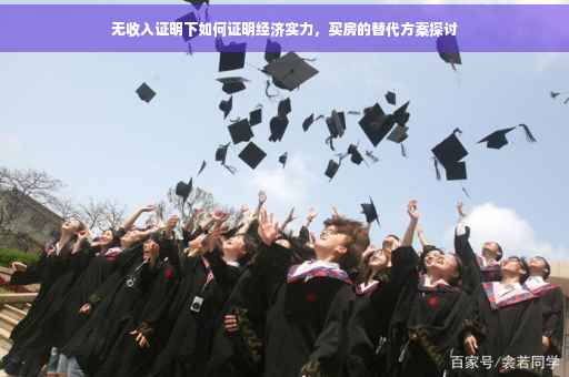 无收入证明下如何证明经济实力，买房的替代方案探讨