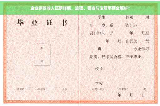 企业借款收入证明详解，流程、要点与注意事项全解析！