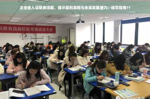 企业收入证明表详解，揭示盈利真相与未来发展潜力，填写指南??