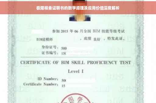 极限相乘证明书的数学原理及应用价值深度解析
