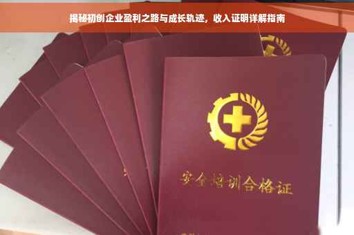 揭秘初创企业盈利之路与成长轨迹，收入证明详解指南