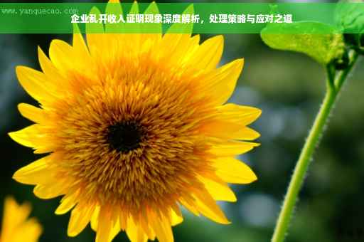 企业乱开收入证明现象深度解析，处理策略与应对之道