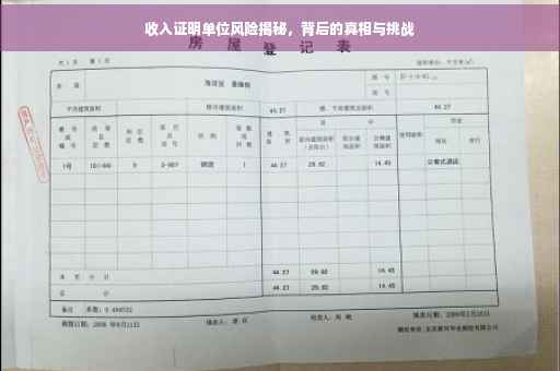 收入证明单位风险揭秘，背后的真相与挑战