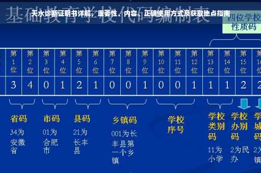 天水诊断证明书详解，重要性、内容、正确使用方式及获取地点指南