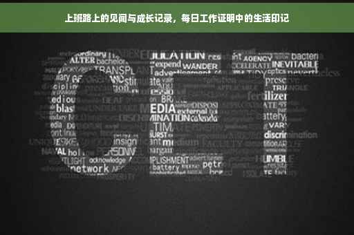 上班路上的见闻与成长记录，每日工作证明中的生活印记