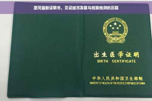 漯河最新证明书，见证城市发展与核酸检测的历程