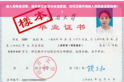 收入及税金证明，揭示真实情况与未来展望，如何正确开具收入及税金证明指南??
