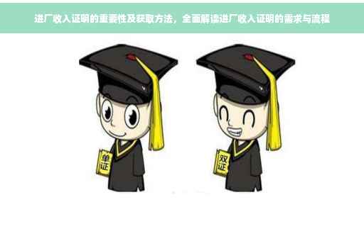 进厂收入证明的重要性及获取方法，全面解读进厂收入证明的需求与流程