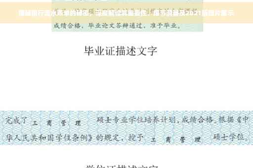 揭秘银行流水账单的秘密，深度解读其重要性、细节洞察及2021版图片展示