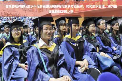 自媒体应对银行流水不足的策略深度解析与解决方案探讨，优化流水管理，助力自媒体稳健发展之路
