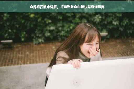 自养银行流水详解，打造财务自由秘诀与查询指南