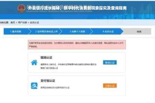 外卖银行流水揭秘，数字时代消费新现象探究及查询指南