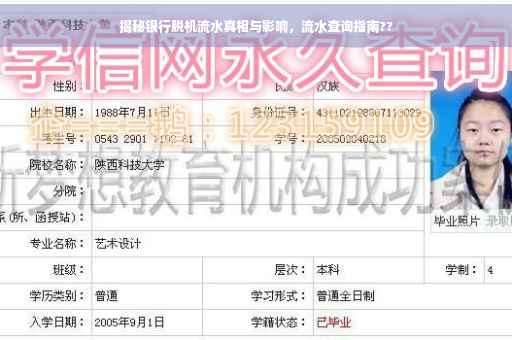 揭秘银行脱机流水真相与影响，流水查询指南??