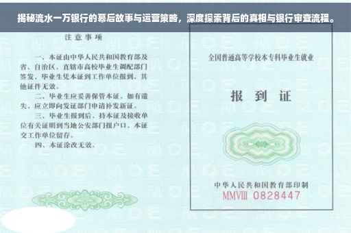 揭秘流水一万银行的幕后故事与运营策略，深度探索背后的真相与银行审查流程。