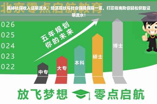 揭秘社保收入证明流水，经济现状与社会保障保障一览，打印指南助你轻松获取证明流水！