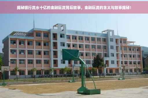 揭秘银行流水十亿的金融巨流背后故事，金融巨流的含义与故事揭秘！