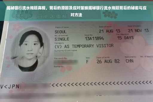 揭秘银行流水拖延真相，背后的原因及应对策略揭秘银行流水拖延背后的秘密与应对方法