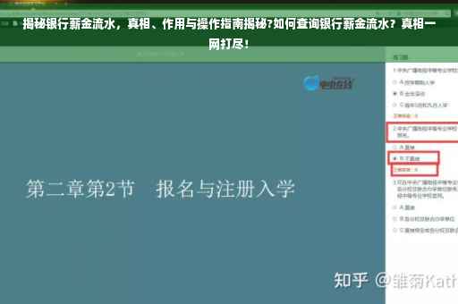 揭秘银行薪金流水，真相、作用与操作指南揭秘?如何查询银行薪金流水？真相一网打尽！