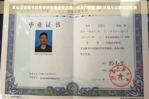 叉车证证明书持有者的专业成长之路，从入门到精通的历程与证明书写指南